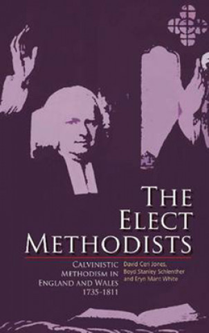 Book Elect Methodists David Ceri Jones