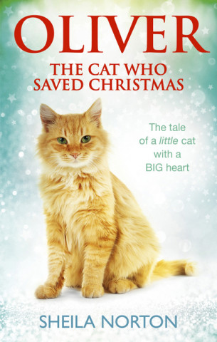 Buch Oliver The Cat Who Saved Christmas Sheila Norton