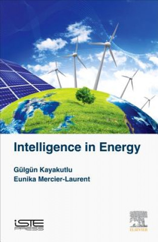 Carte Intelligence in Energy GĂĽlgĂĽn Kayakutlu