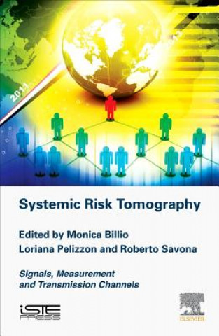 Книга Systemic Risk Tomography Monica Billio