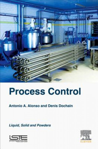 Knjiga PROCESS CONTROL A. Alonso