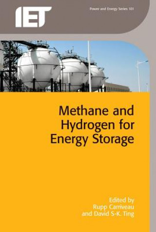 Könyv Methane and Hydrogen for Energy Storage Rupp Carriveau