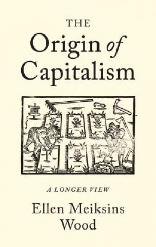 Kniha Origin of Capitalism Ellen Meiksins Wood