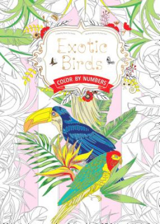 Książka Exotic Birds: Color by Numbers Flame Tree Studio