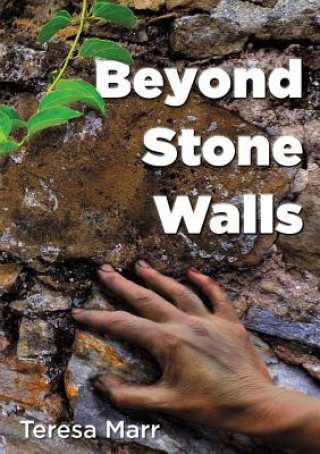 Libro Beyond Stone Walls Teresa Marr