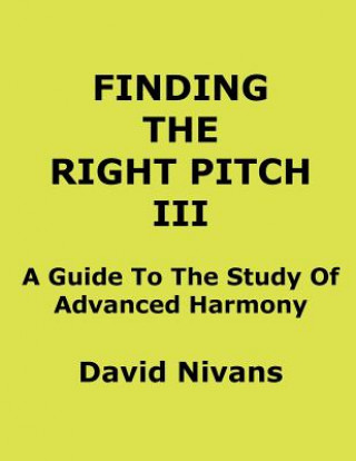 Kniha Finding the Right Pitch David Nivans