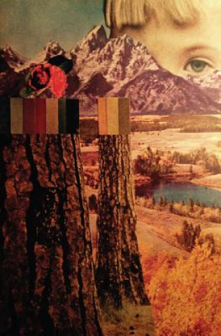 Kniha Careful Mountain Sara June Woods