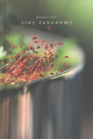 Knjiga Tiny Taxonomy: Individual Plants in Landscape Architecture Rosetta S. Elkin