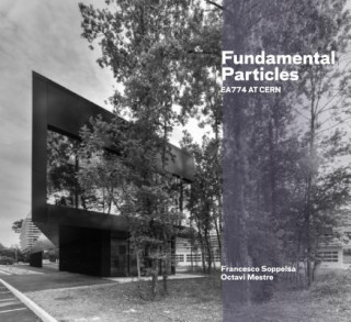 Buch Fundamental Particles: Ea774 at Cern Francesco Soppelsa