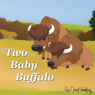 Carte Two Baby Buffalo David Harding