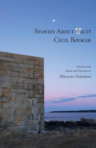 Книга Stories about Tacit Cecil Bodker