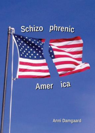 Boek Schizophrenic America Anni Damgaard
