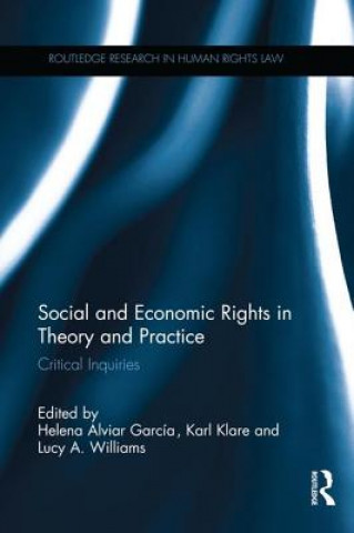 Kniha Social and Economic Rights in Theory and Practice 