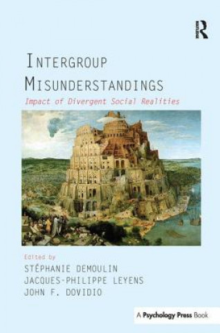 Boek Intergroup Misunderstandings Stephanie Demoulin