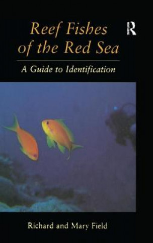 Könyv Reef Fish Of The Red Sea FIELD