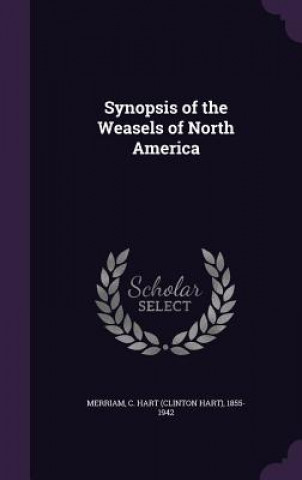 Kniha Synopsis of the Weasels of North America C Hart 1855-1942 Merriam