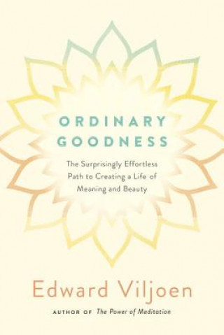 Buch Ordinary Goodness Edward Viljoen