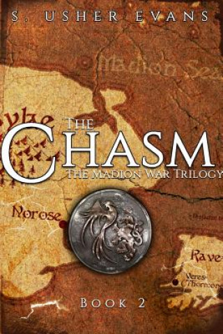 Książka Chasm S. Usher Evans