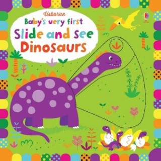 Kniha Baby's Very First Slide and See Dinosaurs Fiona Watt