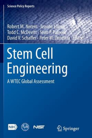 Kniha Stem Cell Engineering Jeanne Loring