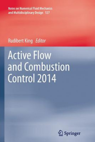 Könyv Active Flow and Combustion Control 2014 Rudibert King