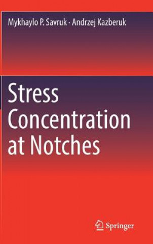 Kniha Stress Concentration at Notches Mykhaylo P. Savruk