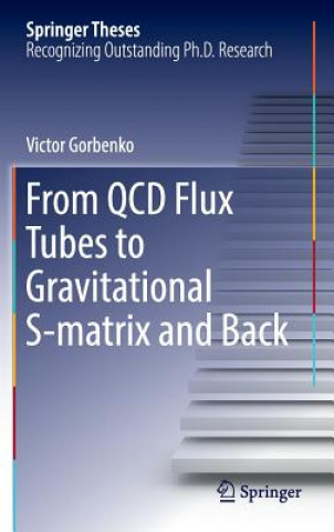 Kniha From QCD Flux Tubes to Gravitational S-matrix and Back Victor Gorbenko