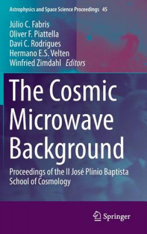 Knjiga Cosmic Microwave Background Júlio C. Fabris