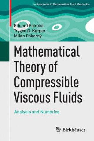 Kniha Mathematical Theory of Compressible Viscous Fluids Eduard Feireisl