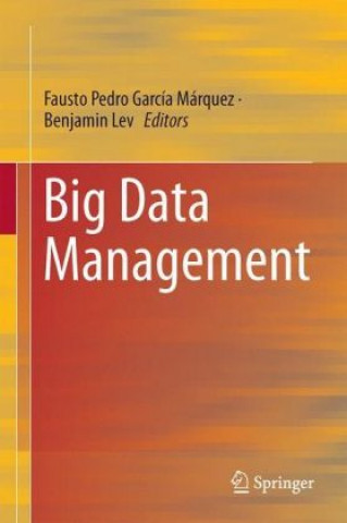 Könyv Big Data Management Fausto Pedro García Márquez