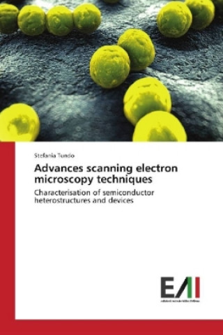 Knjiga Advances scanning electron microscopy techniques Stefania Tundo