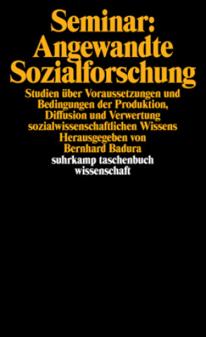 Kniha Seminar: Angewandte Sozialforschung Bernhard Badura