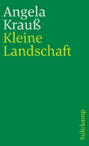 Knjiga Kleine Landschaft Angela Krauß