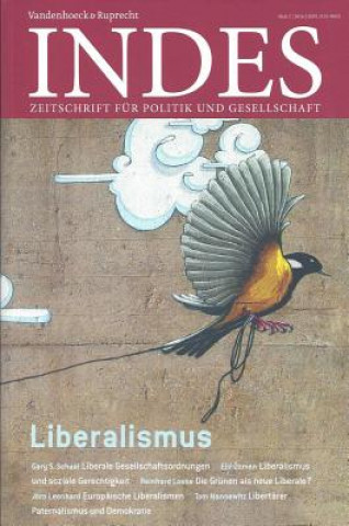 Buch Indes - Liberalismus Franz Walter