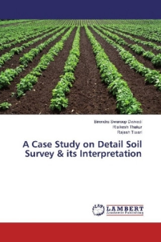 Книга A Case Study on Detail Soil Survey & its Interpretation Birendra Swaroop Dwivedi