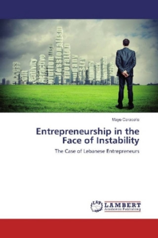 Книга Entrepreneurship in the Face of Instability Maya Caracalla