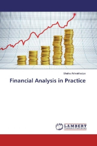 Könyv Financial Analysis in Practice Shalva Akhrakhadze