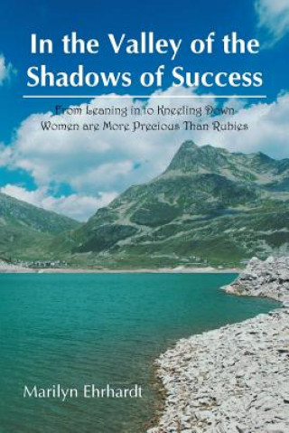 Kniha In the Valley of the Shadows of Success Marilyn Ehrhardt