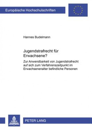 Buch Jugendstrafrecht Fuer Erwachsene? Hannes Budelmann