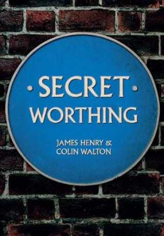 Könyv Secret Worthing Henry James