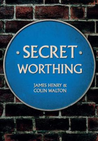 Książka Secret Worthing Henry James