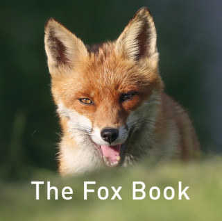 Książka Fox Book Jane Russ