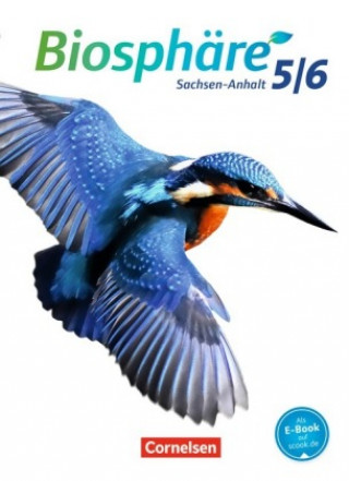 Kniha Biosphäre Sekundarstufe I 5./6. Schuljahr - Sachsen-Anhalt - Schülerbuch Anja Grimmer