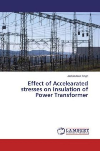 Kniha Effect of Accelearated stresses on Insulation of Power Transformer Jashandeep Singh