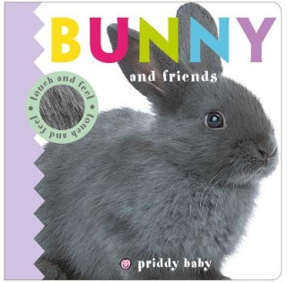 Kniha BUNNY & FRIENDS TOUCH & FEEL Roger Priddy