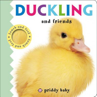 Kniha DUCKLING & FRIENDS TOUCH & FEEL Roger Priddy