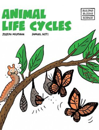 Knjiga Animal Life Cycles Joseph Midthun