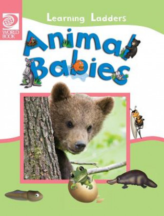 Książka Animal Babies Inc World Book