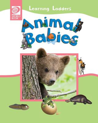 Buch Animal Babies Inc World Book