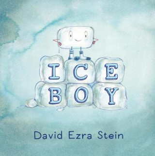 Kniha Ice Boy David Ezra Stein
